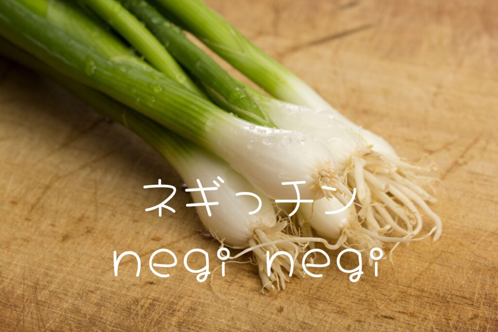 ネギッチン　negi negiのイメージ写真
