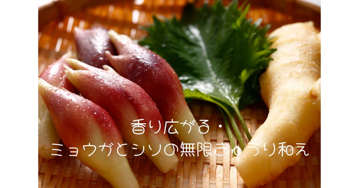 香り広がる・ミョウガとシソの無限きゅうり和え